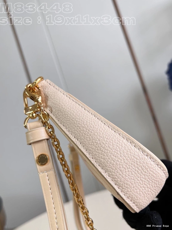 AAA Pruses Bags POUCH LOUIS STRAP ON VUITTON EASY 0820